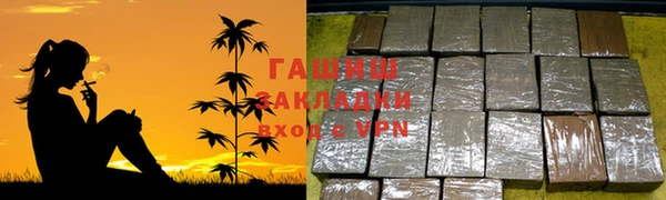 хмурый Бикин