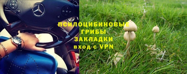 индика Беслан