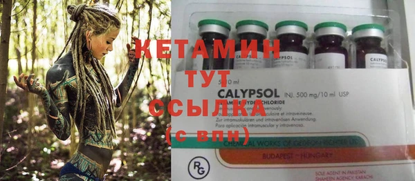 хмурый Бикин