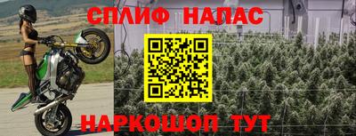 spice Сланцы