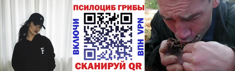 сколько стоит  Ступино  Псилоцибиновые грибы мухоморы 